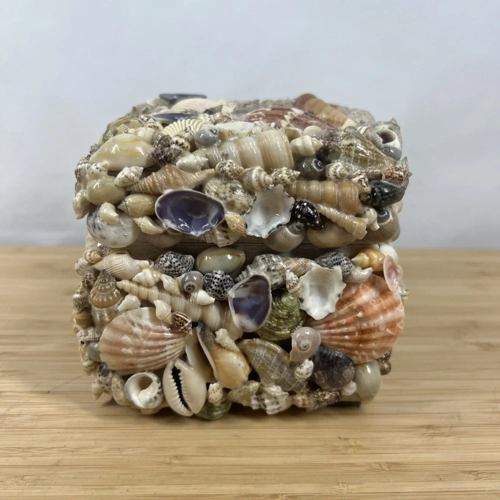 Coastal Collection Seashell Jewelry Trinket Box Beach Coastal Decor New w/ Tag